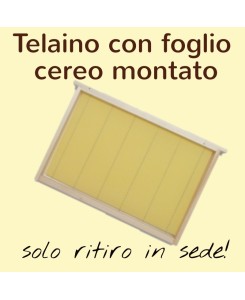 TELAINI CON FOGLIO CEREO MONTATO