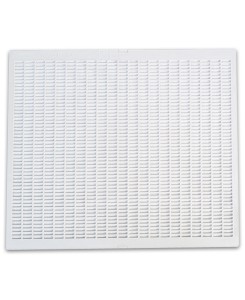 ESCLUDI REGINA QUARTI ITALY PARTICOLARE