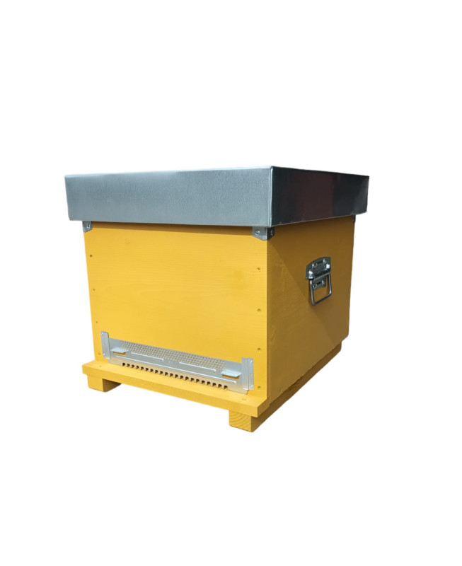 arnia a cubo D.B. x 10 t verniciata