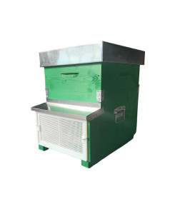 D.B. HIVE GLOBE TROTTER...