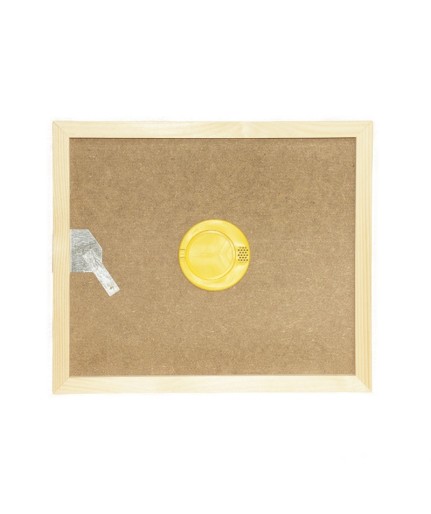 APISCAMPO 2 VIE SU TAVOLETTA