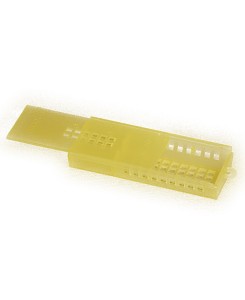 GABBIETTA TRASPORTO REGINA