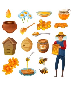 STARTER PACK HONEY LAB