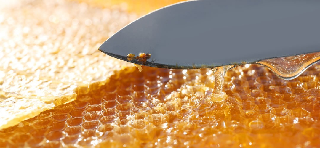 Attrezzatura per disopercolare e per estrarre il miele