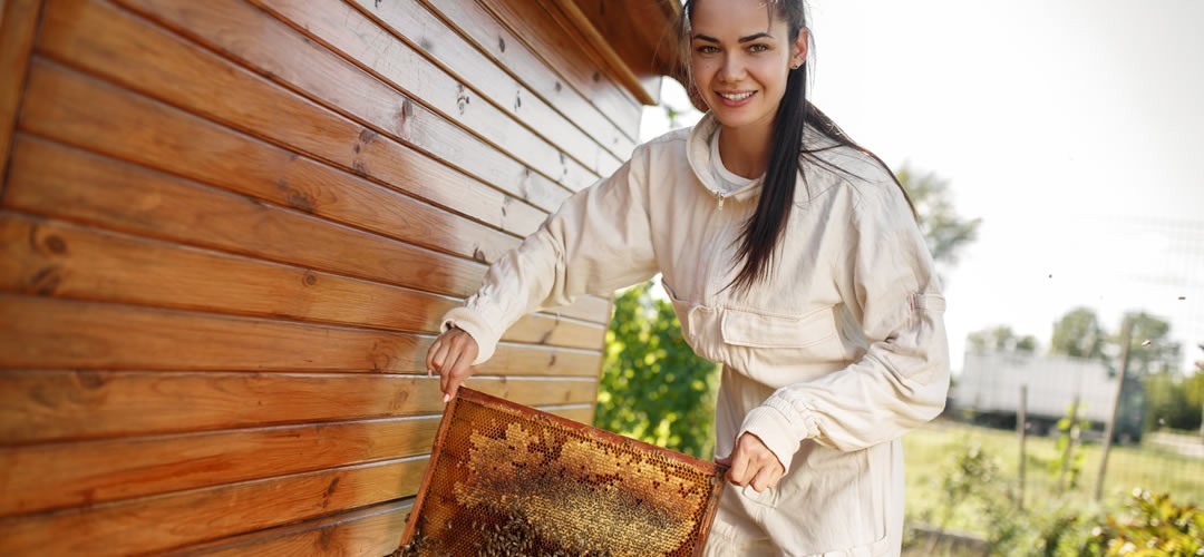 Cadres de ruche : en kit de montage, avec feuille cirée montée, évacuation des abeilles et nourrisseurs.