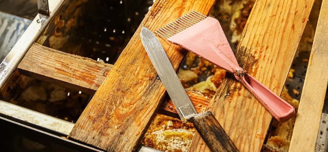 Matériel d'extraction du miel : extracteurs de miel et outils pour la transformation du miel